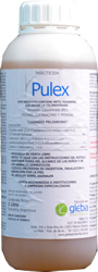 Pulex